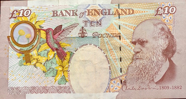 Ten Pound note (https://en.numista.com/)